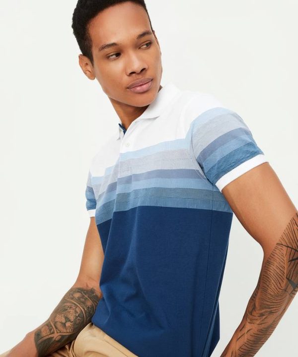Men Striped Polo Neck Cotton Blend Blue T-Shirt
